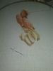 post-5984-1428910406_thumb.jpg