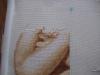 post-2-1304413813_thumb.jpg
