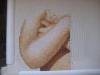 post-2-1305017726_thumb.jpg
