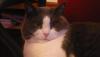 post-6944-1306615828_thumb.jpg