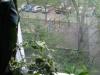 post-7311-1305012042_thumb.jpg