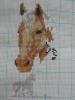 post-2-1337511804_thumb.jpg