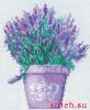 post-2-1337512211_thumb.jpg