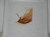 post-2-1338321846_thumb.jpg