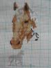 post-4746-1337274477_thumb.jpg