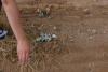 post-10362-1369914608_thumb.jpg