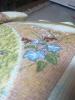 post-12204-1367684291_thumb.jpg