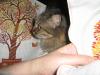 post-12795-1368195017_thumb.jpg