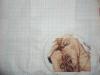 post-15440-1369571193_thumb.jpg