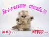 post-15717-1367757270_thumb.jpg
