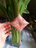 post-13496-1399792276_thumb.jpg