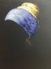 post-17969-1400234253_thumb.jpg