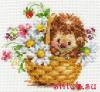 post-2-1399186232_thumb.jpg