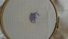 post-2-1399828882_thumb.jpg