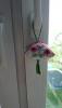 post-2-1400410730_thumb.jpg