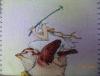 post-21725-1400335107_thumb.jpg