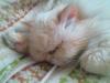 post-24992-1400840207_thumb.jpg