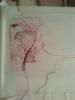 post-5984-1398956686_thumb.jpg