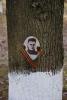 post-10362-1431605882_thumb.jpg