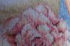 post-25070-1432658216_thumb.jpg