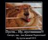 post-27702-1430660607_thumb.jpg