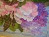 post-29837-1433086338_thumb.jpg