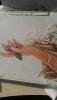 post-3183-1431501756_thumb.jpg