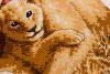 post-3183-1431883873_thumb.jpg