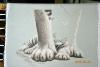 post-3183-1432318752_thumb.jpg