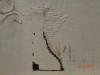 post-32922-1431021488_thumb.jpg