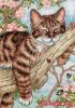 Dimensions 65090, Napping Kitten