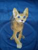 DSC00262.jpg