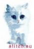 post-2-1309115619_thumb.jpg