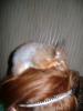 post-4989-1308033354_thumb.jpg