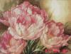 Dimensions 35175, Трио тюльпанов (Tulip Trio)
