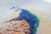 post-2-1370551564_thumb.jpg