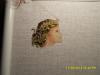post-2-1371494680_thumb.jpg