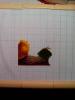 post-2-1371977845_thumb.jpg
