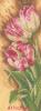 Lanarte PN-0144533, Tulips