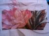 post-16578-1403289282_thumb.jpg