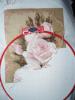 post-17971-1403272326_thumb.jpg