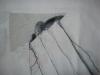 post-2-1402222238_thumb.jpg