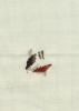 post-2-1402829511_thumb.jpg