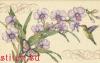 Dimensions 35237, Orchids and Hummingbird