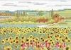 Lanarte 34813, Sunflower field