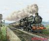 DMC BK1119, Steam Train