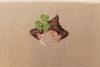 post-2-1404043256_thumb.jpg
