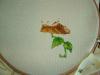 post-2-1404044252_thumb.jpg