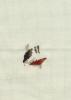 post-20749-1402235959_thumb.jpg
