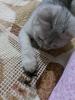 post-26271-1403516391_thumb.jpg